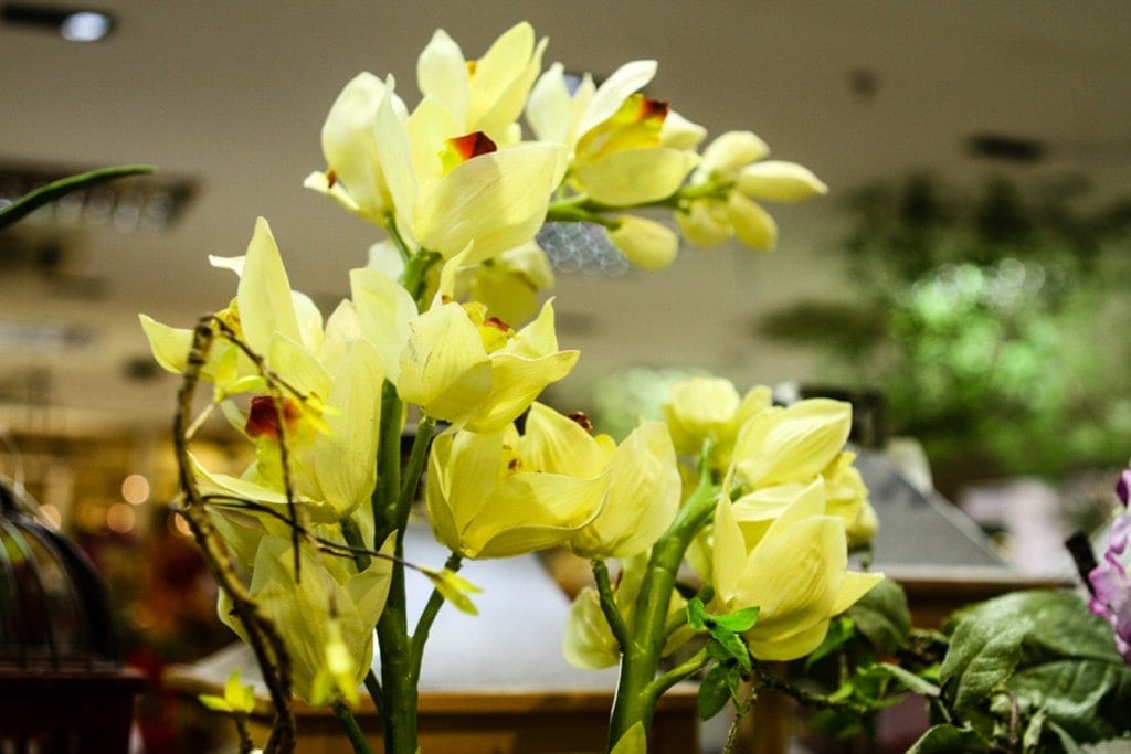 flor amarela artificial sp penha campinas abc